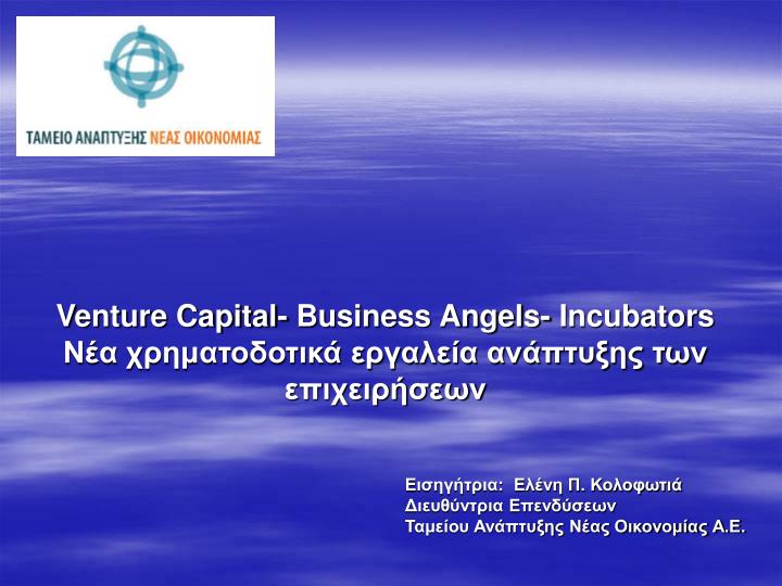 venture capital business angels incubators