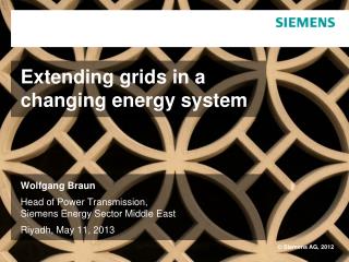 Extending grids in a changing energy system