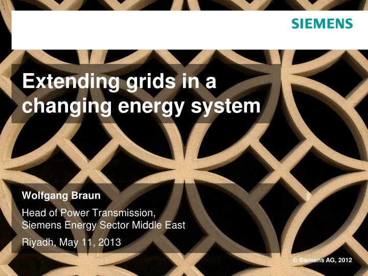 extending grids in a changing energy system