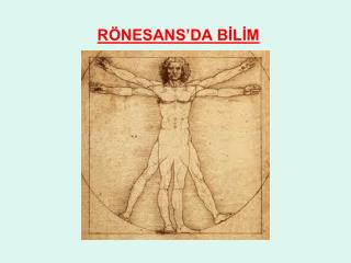 r nesans da b l m
