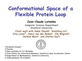 Conformational Space of a Flexible Protein Loop