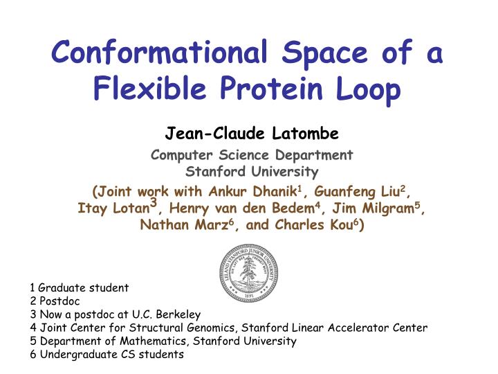 conformational space of a flexible protein loop