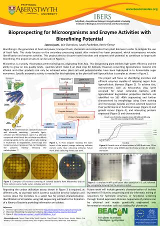 Bioprospecting for Microorganisms and Enzyme Activities with Biorefining Potential