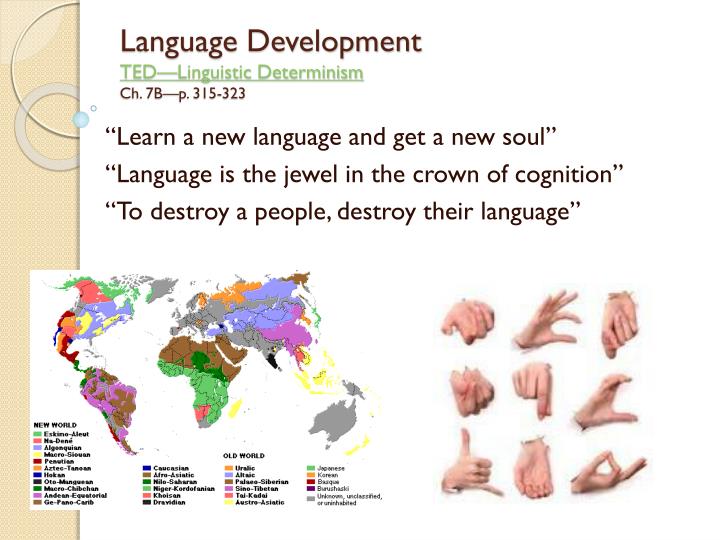 language development ted linguistic determinism ch 7b p 315 323