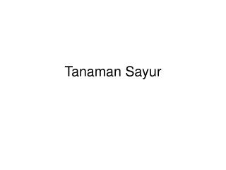 tanaman sayur