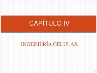 cap tulo iv