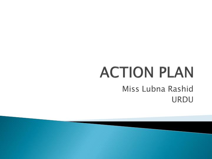 action plan