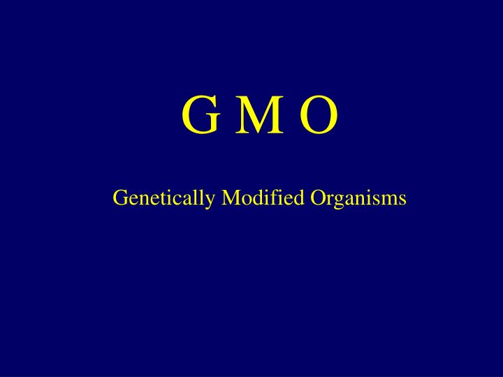 g m o genetically modified organisms