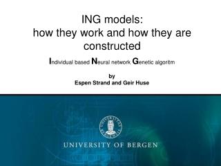ING models: how they work and how they are constructed