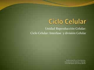 ciclo celular