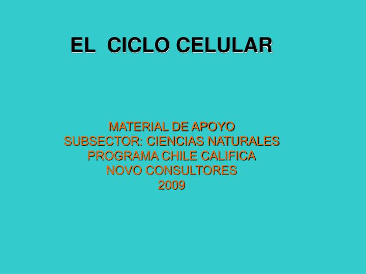 el ciclo celular