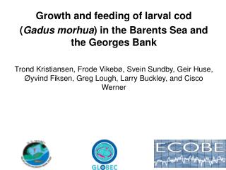 Growth and feeding of larval cod ( Gadus morhua ) in the Barents Sea and the Georges Bank