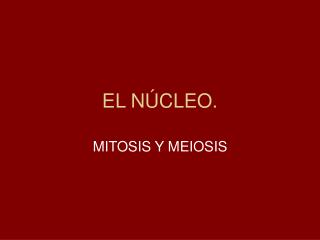 el n cleo