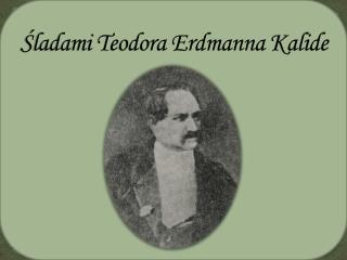 ladami teodora erdmanna kalide