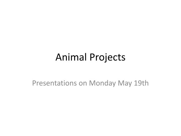 animal projects