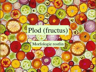 plod fructus