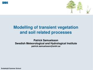 Modelling of transient vegetation and soil related processes