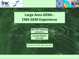 Large Area GEMs : CMS GEM Experience
