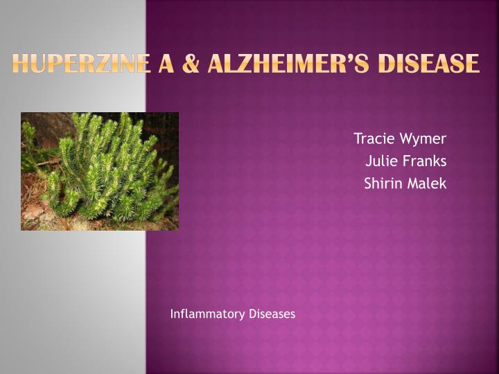 huperzine a alzheimer s disease