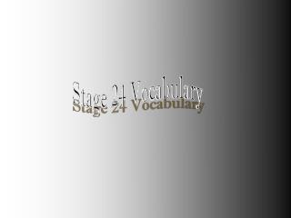 Stage 24 Vocabulary