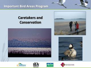 Important Bird Areas Program