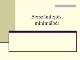 b rsz mfejt s minim lb r