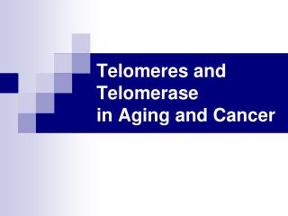 Telomeres and Telomerase in Aging and Cancer