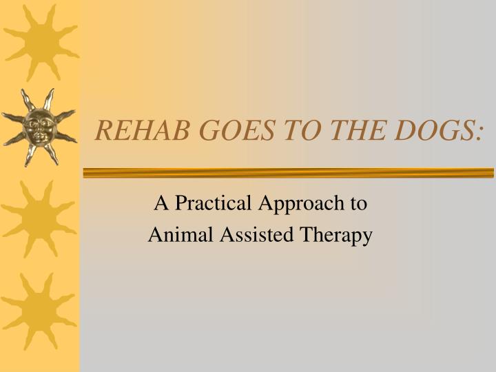 rehab goes to the dogs