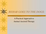 REHAB GOES TO THE DOGS: