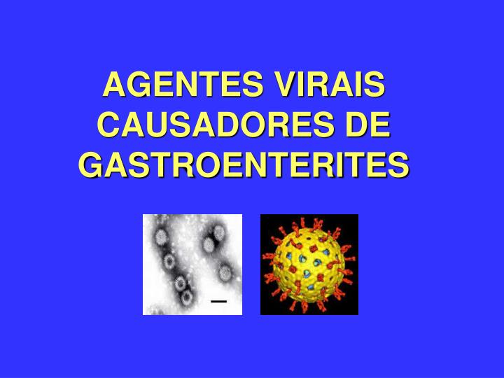 agentes virais causadores de gastroenterites
