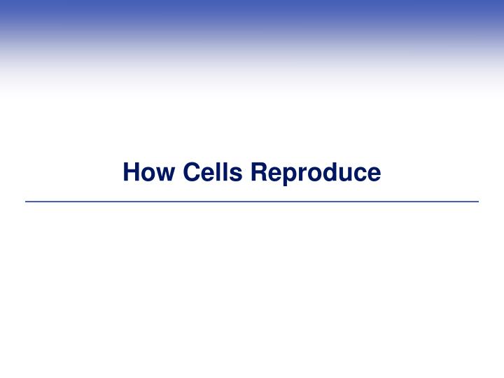 how cells reproduce