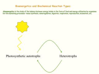 Bioenergetics and Biochemical Reaction Types