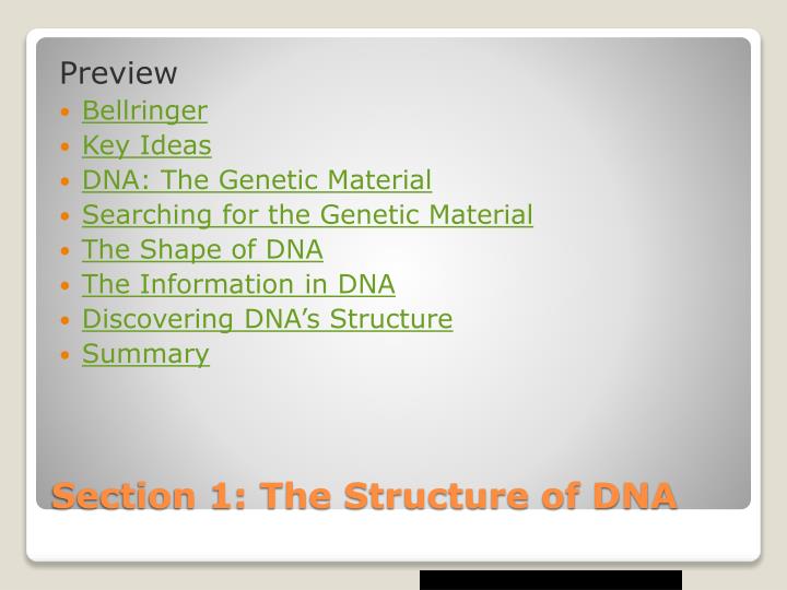 section 1 the structure of dna