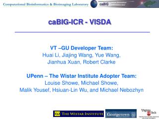 caBIG-ICR - VISDA
