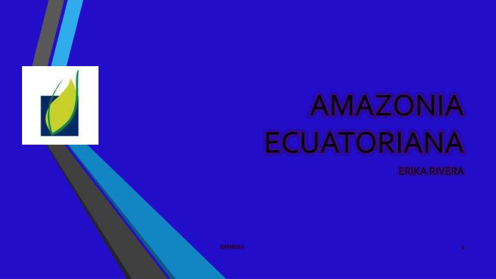 amazonia ecuatoriana