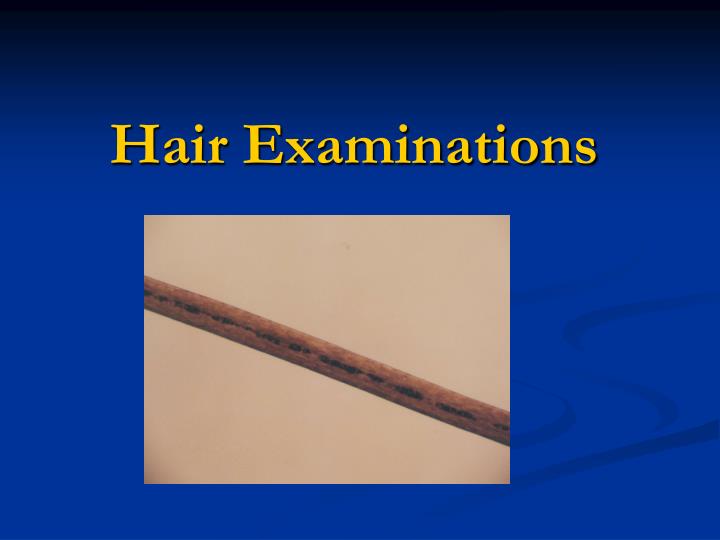 hair examinations