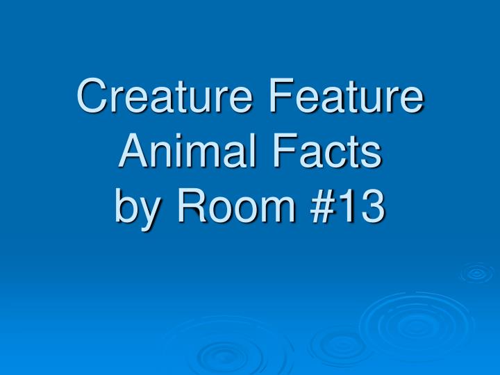 creature feature animal facts by room 13