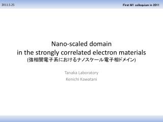 Nano -scaled domain in the strongly correlated electron materials ( ??????????????????????? )