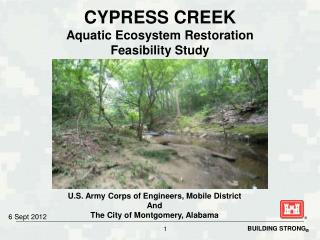 CYPRESS CREEK Aquatic Ecosystem Restoration Feasibility Study