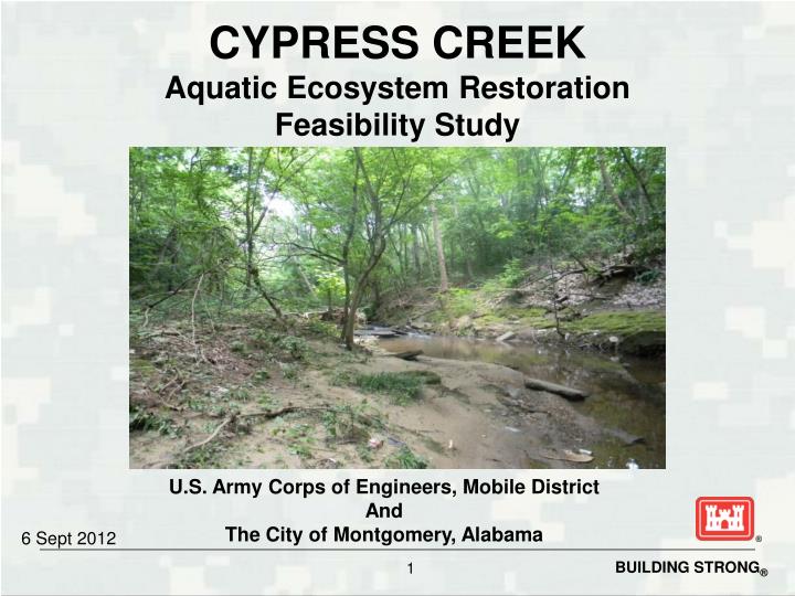 cypress creek aquatic ecosystem restoration feasibility study