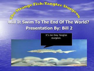 Will It Swim To The End Of The World? Presentation By: Bill 2