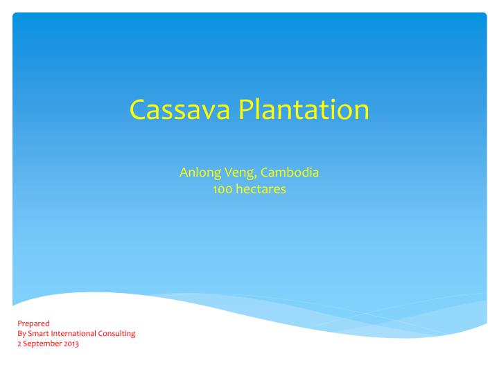 cassava plantation anlong veng cambodia 100 hectares