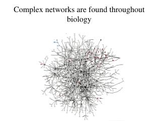 Complex networks are found throughout biology