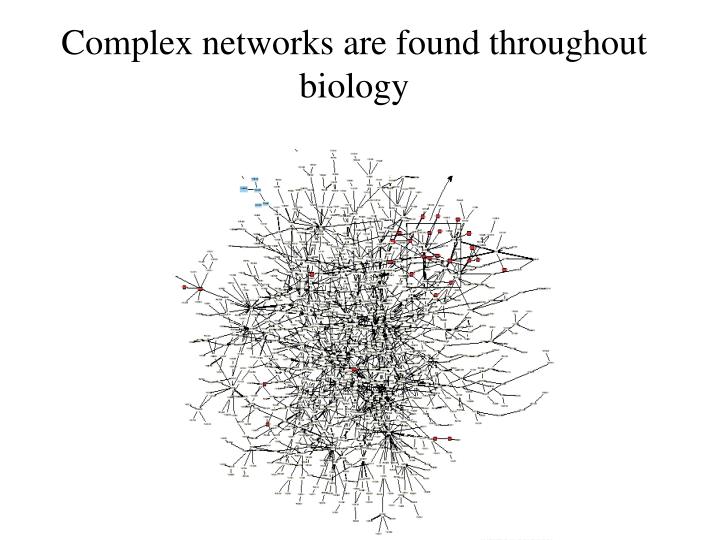 complex networks are found throughout biology