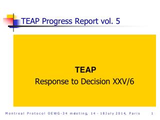 TEAP Progress Report vol. 5