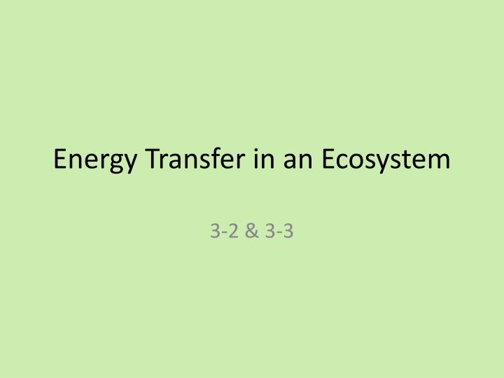 energy transfer in an ecosystem