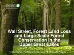 The Impact of Market Forces on Forest Conservation in the Upper Great Lakes Region - slide 1