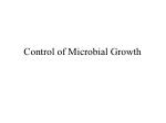 Control of Microbial Growth - slide 1