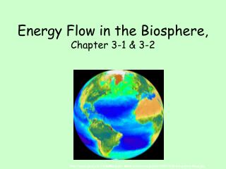 Energy Flow in the Biosphere, Chapter 3-1 &amp; 3-2