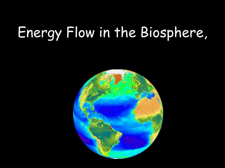 energy flow in the biosphere